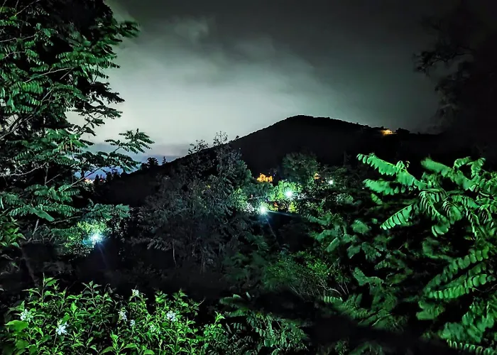 Cedro Azul