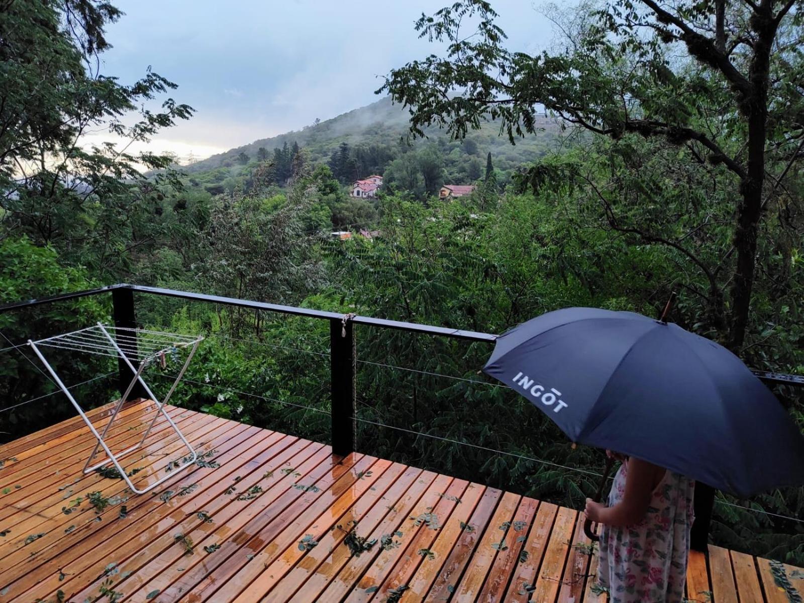 Apartment Cedro Azul *